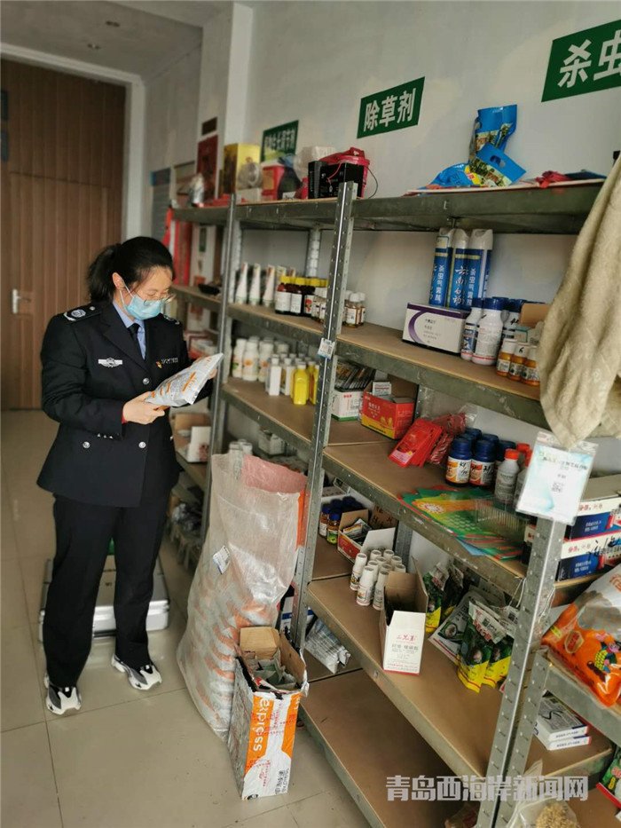 圖為西海岸新區(qū)農(nóng)業(yè)綜合行政執(zhí)法大隊(duì)執(zhí)法隊(duì)員在查看玉米種子包裝。.jpg